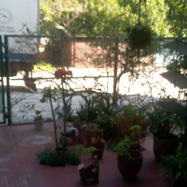 SE VENDE APARTAMENTO PLANTA BAJA EN EL REPARTO BAHÍA - Img 120709133
