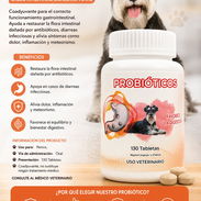 Probioticos para perros - Img 55542278