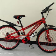 🚧 BICICLETA 24" MARCA SILVER BIKE 🚧 - Img 54942950