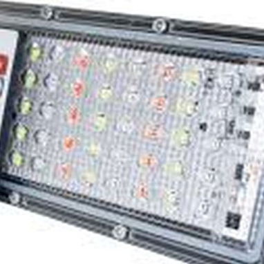 Reflector LED RGB 50 W con mando, cambia de color - 2/3
