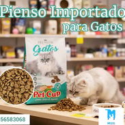 Pienso para gatos y gaticos - Img 53475384