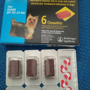 Antiparasitario para perros - Img 122713025