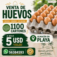 Contenedor de HUEVOS - Img 57617753
