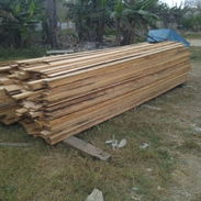 Tabla - Img 57361996