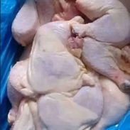 pollo - Img 58116911