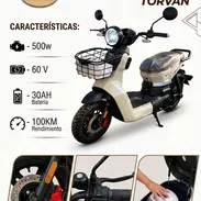 Motico TORVAN 2026 - Img 56915488
