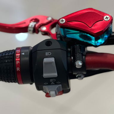 Bicicleta deportiva eléctrica Rohan Wings RS-2 | 60V20Ah - Img 124203288