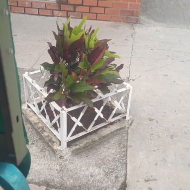 Servicio de jardinería - Img 119439259