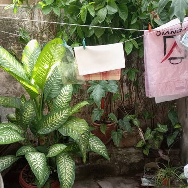 Se vende casa en Regla - 7/7