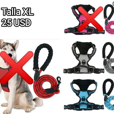 Artículos para mascotas: perros y gatos - Img 126323392