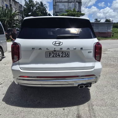 Vendo o negocio, Hyundai palisade 2024, calligraphy - Img 122038955