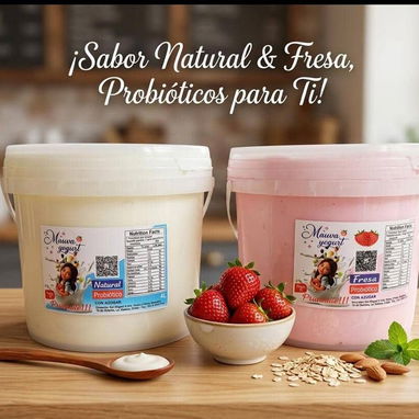 YOGURT PROBIÓTICOS 4/L DE CUAGULO - 3/3