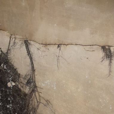 Reparación de cisternas y tanques de fibro - Img 121818263