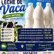 Leche de vaca 1500ml a 1000cup - Img 56950802
