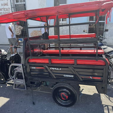 Se vende Tricilo Rali - 4/4