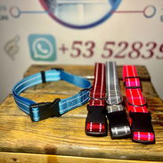 Collar reflectante - Img 55706693