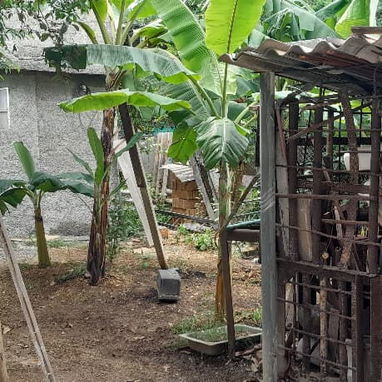 Se venden dos casas en el reparto Trébol. Calabazar. Por la entrada al zoológico nacional. - 9/10