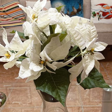Flores y búcaro, IKEA - Img 121276478