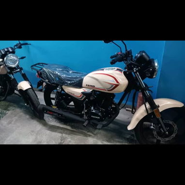 Moto de combustión 150cc - 2/2
