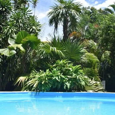 IG Casa de renta por tiempo indefinido con piscina 8 habitaciones en Siboney SIB-002 - 2/9