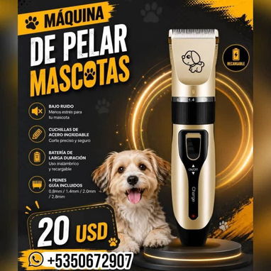 🐶🐱✨ ¡PELUQUERÍA DE MASCOTAS EN CASA! ✨🐱🐶 ¿Quieres que tu peludito luzca limpio, bonito y bien arregladito? 🥰✂️🐾 Te - 3/3