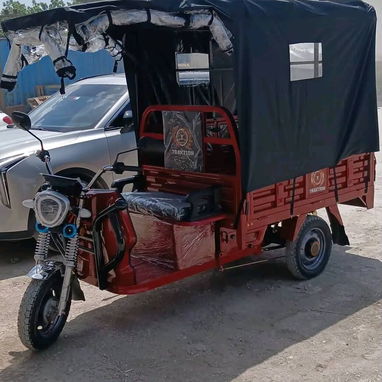 Triciclo eléctrico de carga y pasajeros - 3/5
