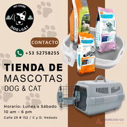 🐶🐱PIENSOS IMPORTADOS PARA PERROS Y GATOS🐶🐱 [MUCHÍSIMAS MARCAS TODOS LOS SABORES]🐾TIENDA DE MASCOTAS [🐶 DOG&CAT 🐱] - Img 43771415