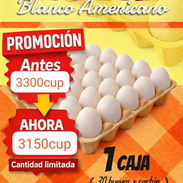 Huevo por cajón - Img 58216517