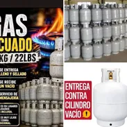 Gas licuado y pinturas para casas - Img 56085447