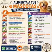 Piensos para Perros y Gatos | Calidad y Variedad en Adrian's Pet Shop (Kinetica) - Img 55712420