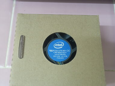 Micro Intel Celeron G4900 a 3.10 GHz - Img 63943721