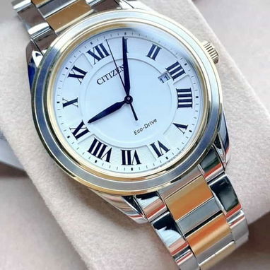 CITIZEN ECODRIVE AREZZO (AW1694-50A) DE 40MM , UNISEX , CRISTAL DE ZAFIRO , DOS TONOS , NUEVO A ESTRENAR 58049738 - Img 102893562