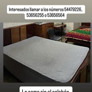 Se vende - Img 56161387