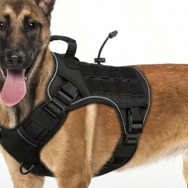 Artículos para perros - Img 125334758