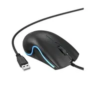 Mouse GM19 - Img 56989610