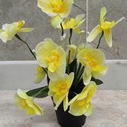 🧧Maceta con orquídeas💫 📏30cm /12 usd🧧 - Img 55038782