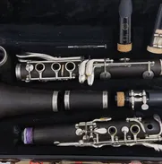 Clarinete Jean Paul (marca americana) - Img 50243925