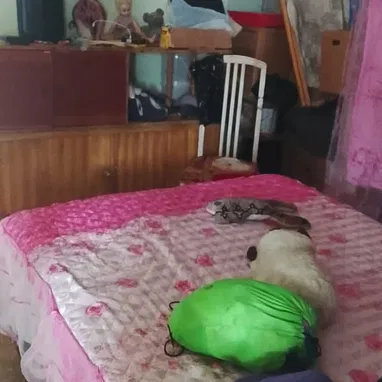 Casa de 2 plantas de 3 cuartos y un pequeño garaje cerca de la ceguera - Img 124809511