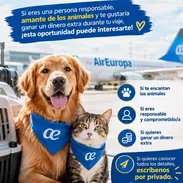 ✈️🐾 ¿Viajas con Air Europa? ¡Gana dinero extra llevando mascotas a España! - Img 58286346