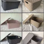 Caja Organizadora con Tapa (cv) - Img 51192026