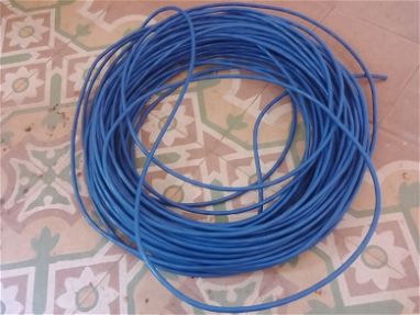 Cable de red  cat 6 - Img main-image-45789149