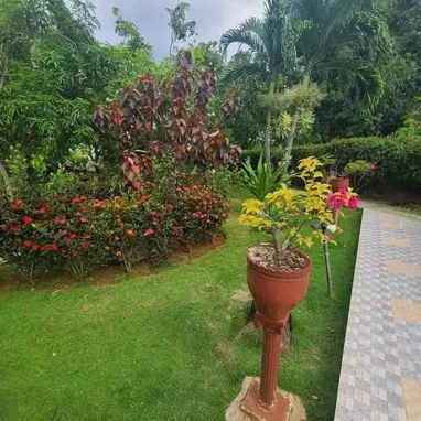 Finca lujo 4000 m2 de terreno en propiedad - 9/10