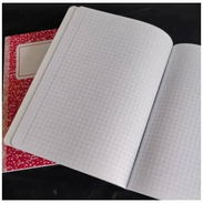**LIBRETAS CUADRICULADAS GRANDES** - Img 56708120