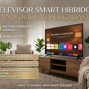 Smart tv híbrido wynwood 43pulgadas incluye cajita - Img 55472547