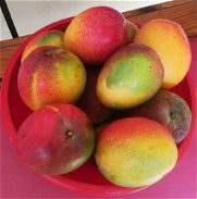 tengo  mangos manzanos de calidad - Img 45865819