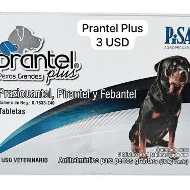Antiparasitarios internos para perros y gatos, Vermic total, adecto, Prantel plus, simparica trio - 3/4