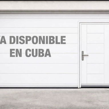 PUERTA DE GARAGE CON PASO PEATONAL Y SIN PASO PEATONAL CON SU MOTOR 👀58080802 - Img 117052619