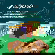 Simparica, Bravecto. Contra pulgas, garrapatas, dermatitis en perros y gatos. Antiparasitarios externos, DermoBrav - Img 50259631