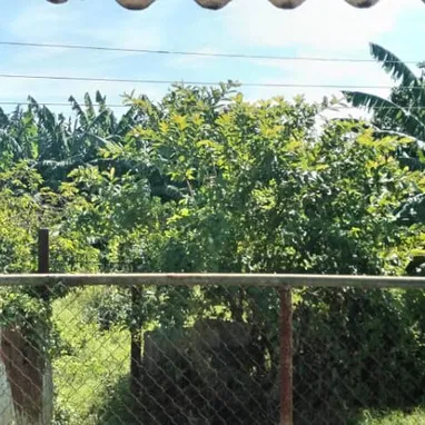 Finca en Artemisa - Img 122682338