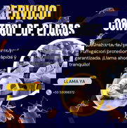 **¡Protege tu hogar y a tu familia con nuestro servicio de fumigación profesional!** - Img 49622472